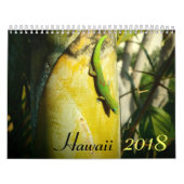 Calendrier des destinations pittoresques Hawaii 20 (Protection)
