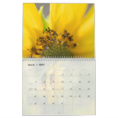Calendrier des détails du tournesol (Mar 2027)