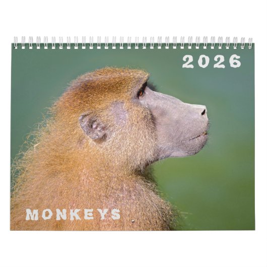 Calendrier des différents singes (Protection)
