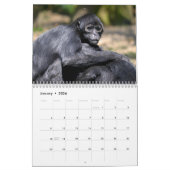 Calendrier des différents singes (Jan 2026)