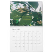 Calendrier des écritures 2007 (Mar 2026)