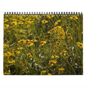 Calendrier des écritures fleurs sauvages