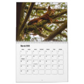 Calendrier des écureuils (Mar 2026)