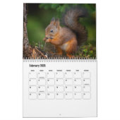 Calendrier des écureuils (Feb 2026)