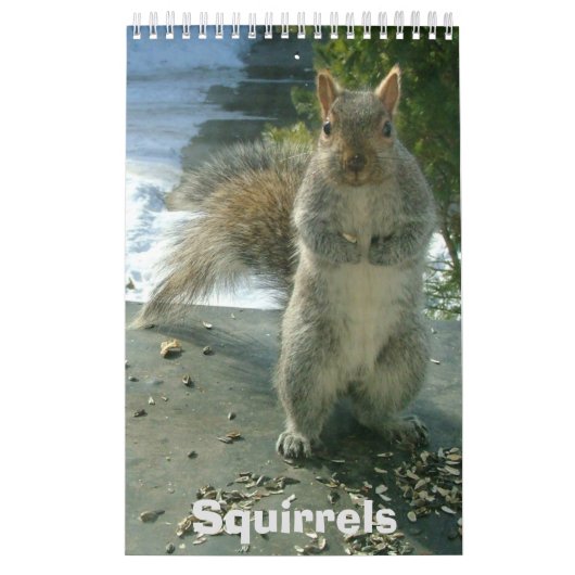 Calendrier des écureuils (Protection)
