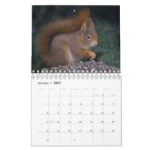 Calendrier des écureuils (Jan 2027)