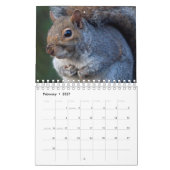 Calendrier des écureuils (Feb 2027)