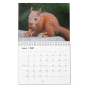 Calendrier des écureuils (Mar 2027)