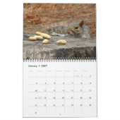 Calendrier des écureuils (Jan 2027)