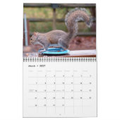 Calendrier des écureuils (Mar 2027)