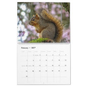 Calendrier des écureuils (Feb 2027)