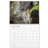 Calendrier des écureuils (Jan 2027)