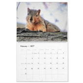 Calendrier des écureuils de couverture 2020 (Feb 2027)