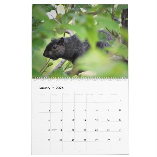 Calendrier des écureuils de couverture 2020 (Jan 2026)