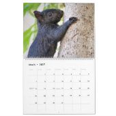 Calendrier des écureuils de couverture 2020 (Mar 2027)