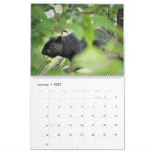 Calendrier des écureuils de couverture 2020 (Jan 2027)