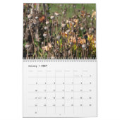 Calendrier des éléments floraux (Jan 2027)
