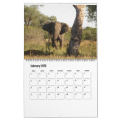 Calendrier des éléphants (Feb 2026)