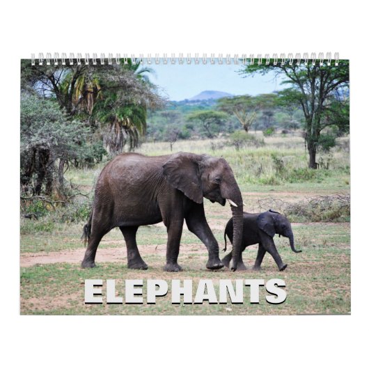 Calendrier des éléphants (Protection)