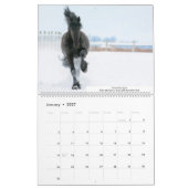 Calendrier des étalons friésiens KFPS (Jan 2027)