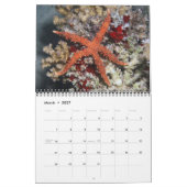 Calendrier des Etoiles de la mer (Mar 2027)