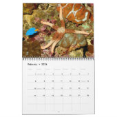 Calendrier des Etoiles de la mer (Feb 2026)