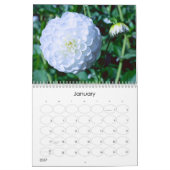 Calendrier des explosions florales 2024 (Jan 2027)