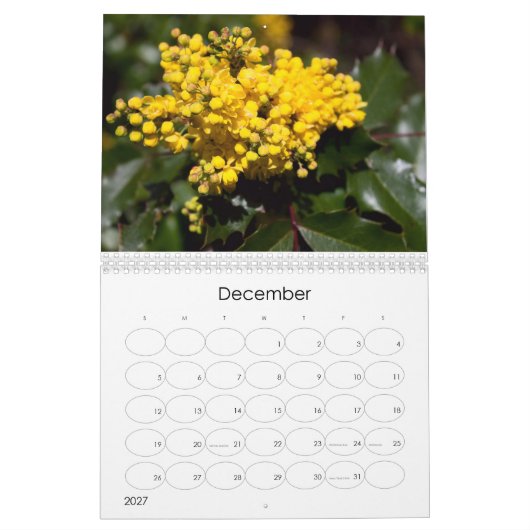 Calendrier des explosions florales 2024 (Dec 2027)