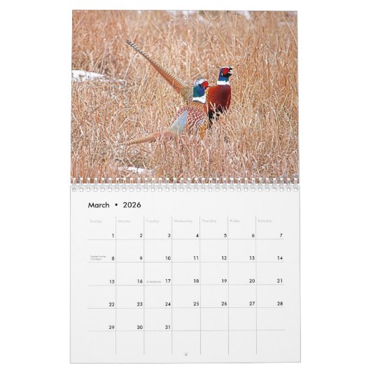 Calendrier des faisans à col rond (Mar 2026)