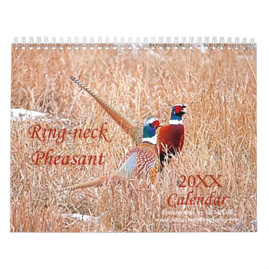 Calendrier des faisans à col rond (Protection)
