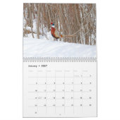 Calendrier des faisans à col rond (Jan 2027)