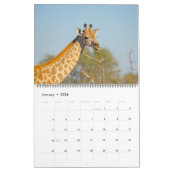 CALENDRIER DES FAVORIS DE SAFARI AFRICAIN (Jan 2026)