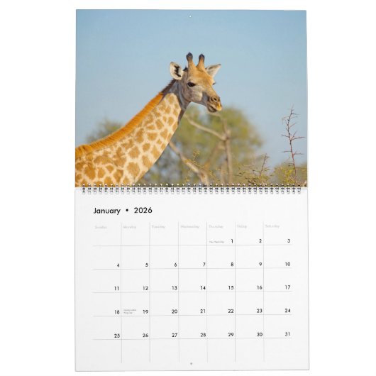 CALENDRIER DES FAVORIS DE SAFARI AFRICAIN (Jan 2026)