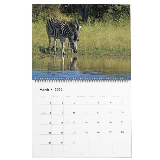 CALENDRIER DES FAVORIS DE SAFARI AFRICAIN (Mar 2026)