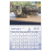 Calendrier des félins de 2020 (Jan 2027)