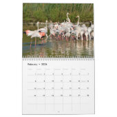 Calendrier des Flamants roses (Feb 2026)