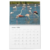Calendrier des Flamants roses (Jan 2026)
