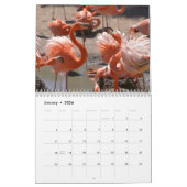 Calendrier des Flamants roses (Jan 2026)