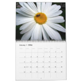 Calendrier des fleurs (Jan 2026)