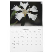 Calendrier des fleurs (Feb 2027)