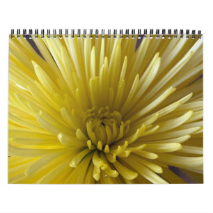 Calendrier des fleurs