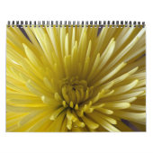 Calendrier des fleurs (Protection)