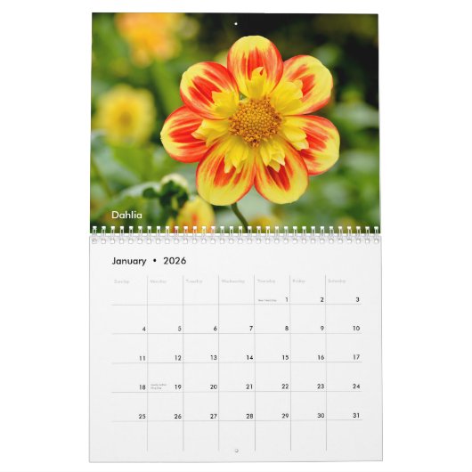 Calendrier des fleurs (Jan 2026)