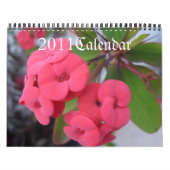 Calendrier des fleurs 2011, (Protection)