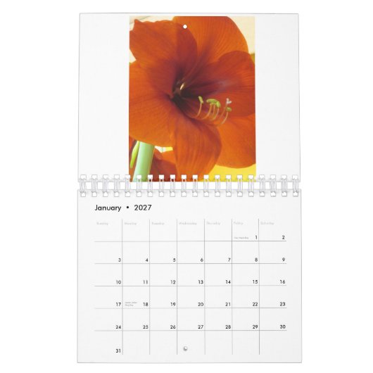 Calendrier des fleurs 2013 (Jan 2027)