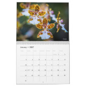 Calendrier des fleurs 2019 (Jan 2027)
