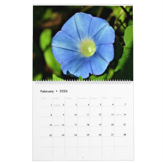 Calendrier des fleurs 2025 (Feb 2026)