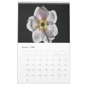 calendrier des fleurs blanches 2025 (Jan 2027)