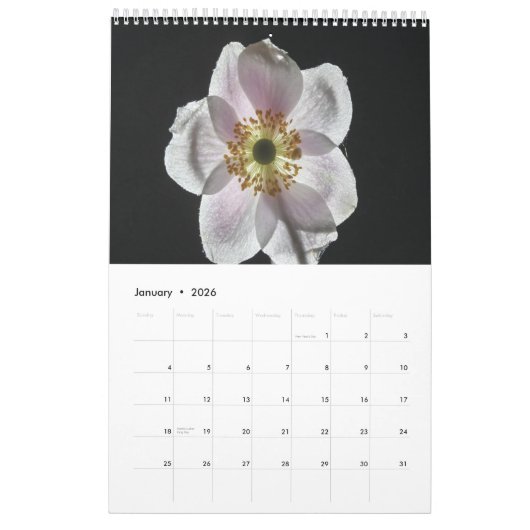 calendrier des fleurs blanches 2025 (Jan 2026)