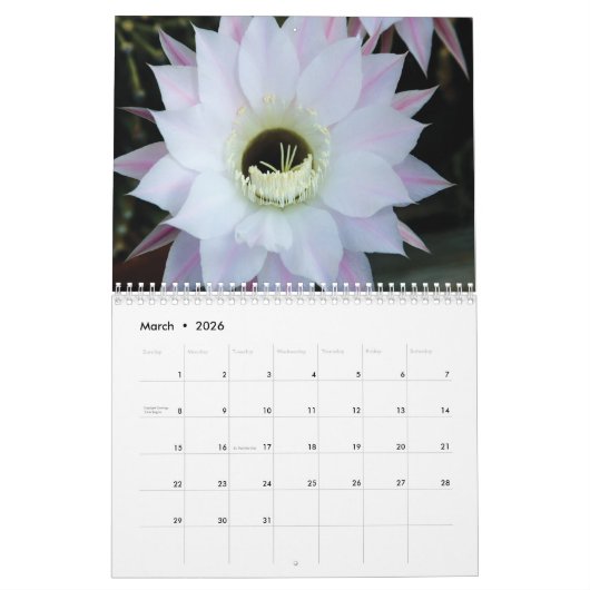 Calendrier des fleurs blanches 202y (Mar 2026)